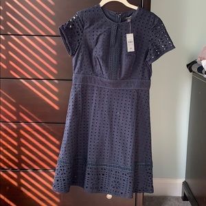 Ann Taylor navy dress